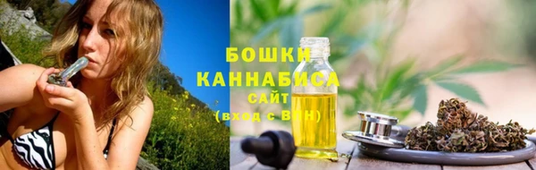 ГАЛЛЮЦИНОГЕННЫЕ ГРИБЫ Ельня