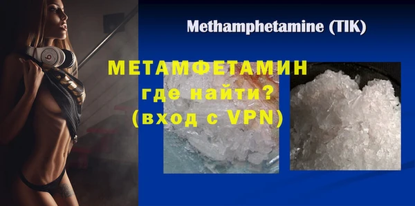 ГАЛЛЮЦИНОГЕННЫЕ ГРИБЫ Ельня