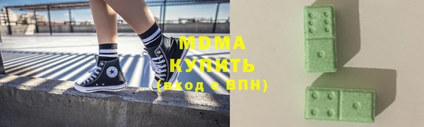 ГАЛЛЮЦИНОГЕННЫЕ ГРИБЫ Ельня