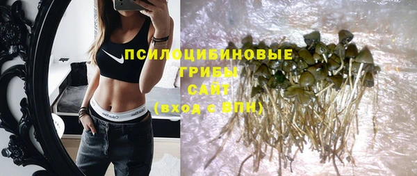 прущая мука Елабуга