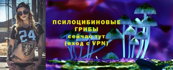 прущая мука Елабуга