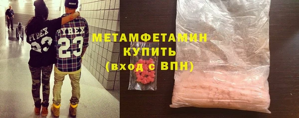 ГАЛЛЮЦИНОГЕННЫЕ ГРИБЫ Ельня