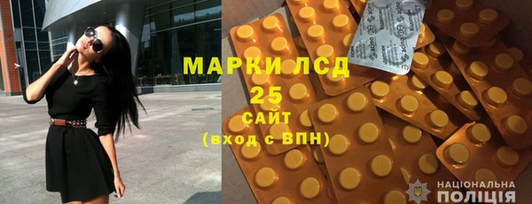 ГАЛЛЮЦИНОГЕННЫЕ ГРИБЫ Ельня