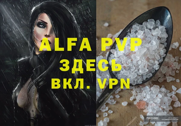 ГАЛЛЮЦИНОГЕННЫЕ ГРИБЫ Ельня