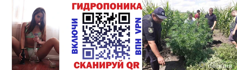Каннабис ГИДРОПОН  Купить  Карасук 